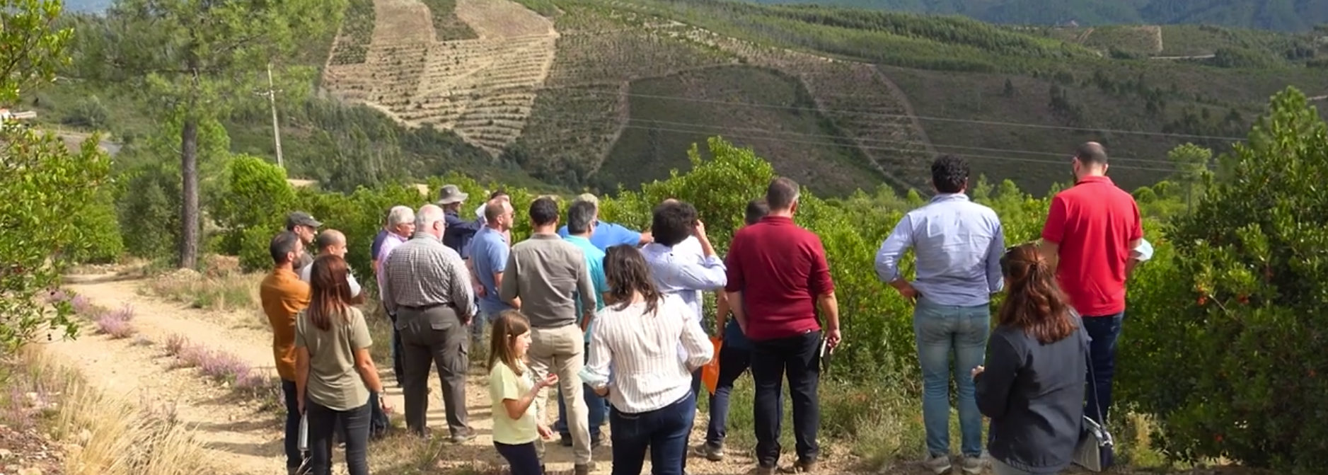 Equipa Espaço Visual em visita ao terreno agrícola