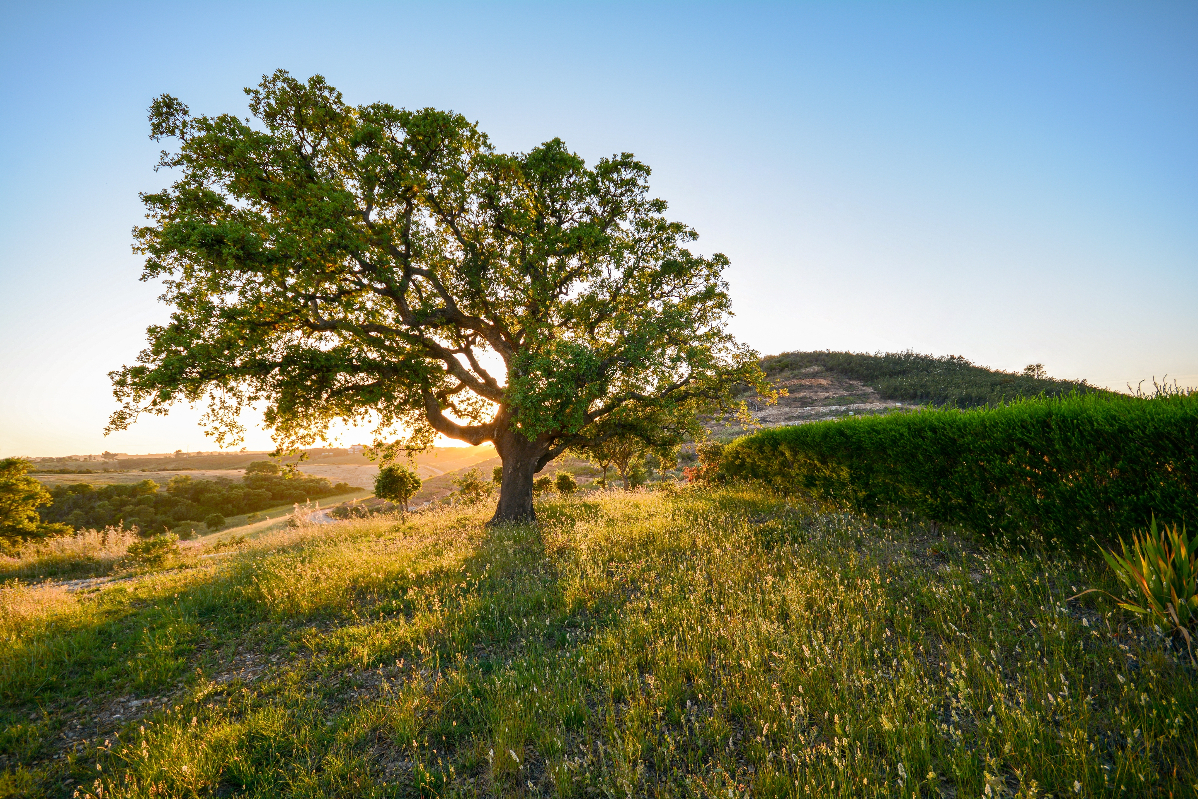 Turismo Rural e Agroturismo